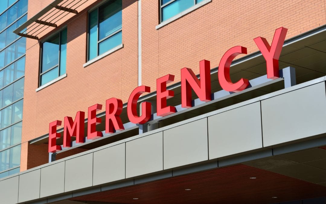 What constitutes as a veterinary emergency?