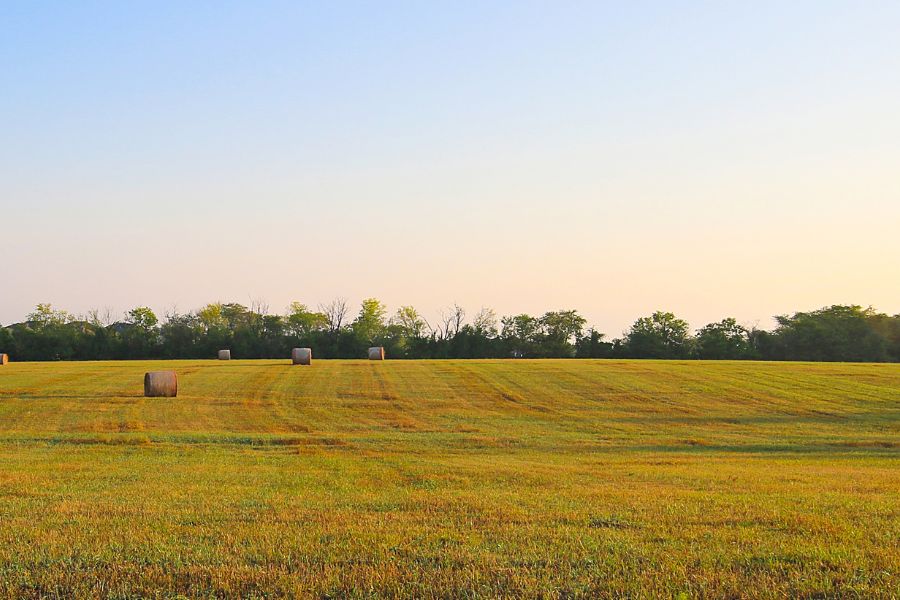 Kansas farm land